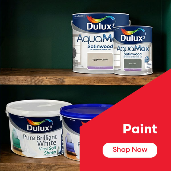 Paint Summer Sale